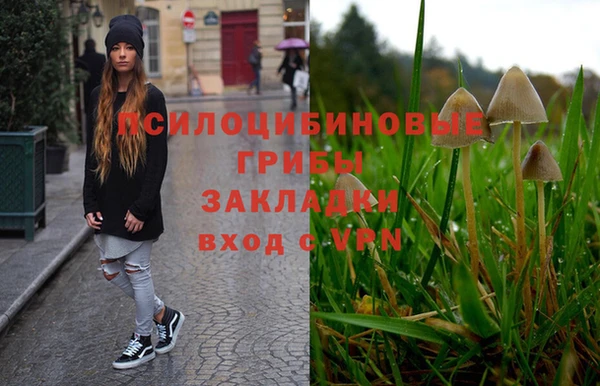 Альфа ПВП Медвежьегорск