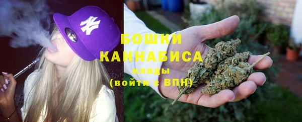 молекула духа Медногорск