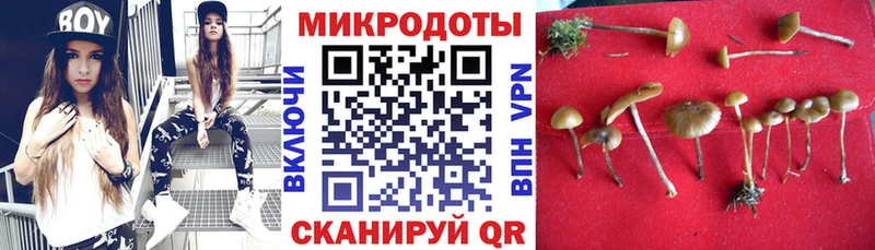 Псилоцибиновые грибы MAGIC MUSHROOMS  где продают наркотики  Спас-Клепики 